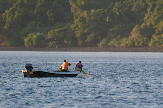 Pêche illégale au filet