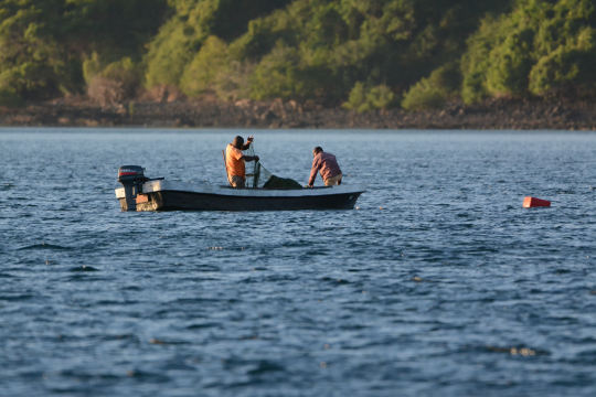 Pêche illégale au filet