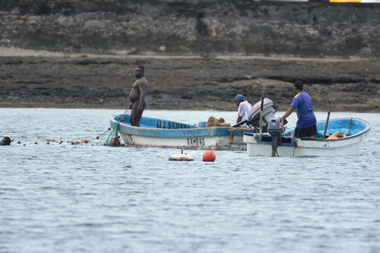 Pêche illégale au filet