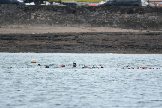 Pêche illégale au filet