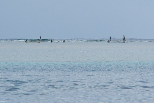 Pêche illégale au filet