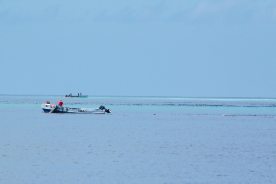 Pêche illégale au filet