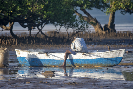 Pirogue et pêcheur en mangrove de Tsimkoura