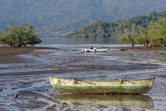 Pirogue et pêcheur en mangrove de Tsimkoura