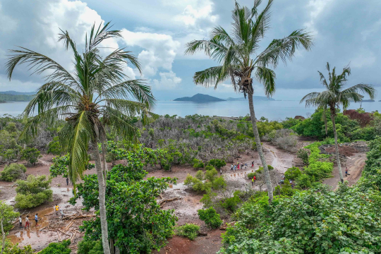 ramassage de déchets dans mangrove