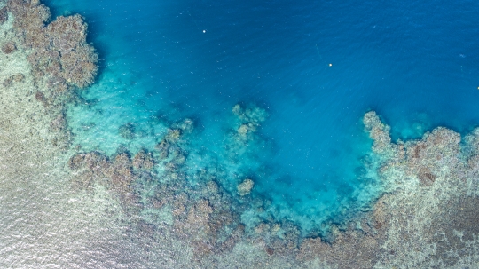 Récif de N'Gouja vu du ciel