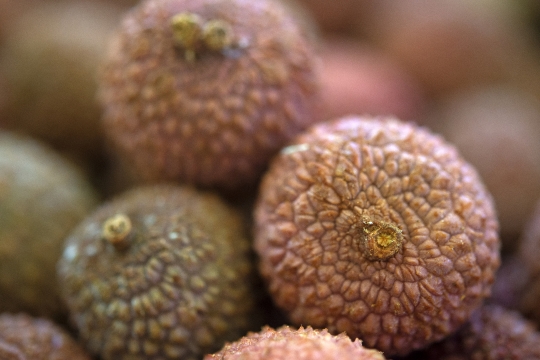 Saison des litchis