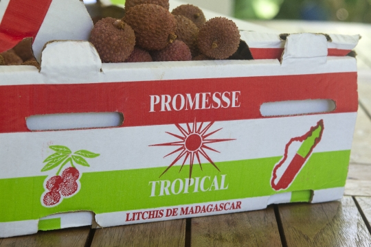 Saison des litchis