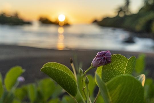 Sunset Mtsanga beach-6