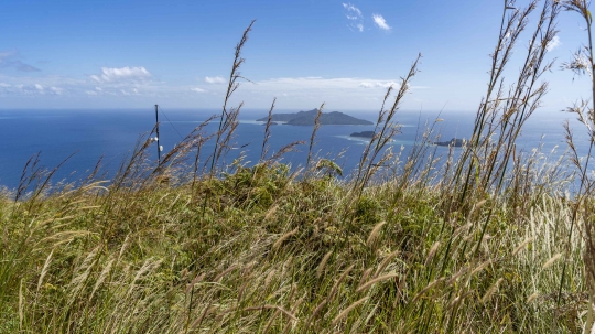 Vue sur Mtsamboro 3